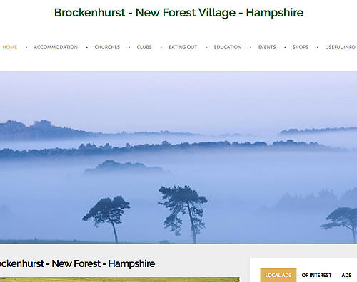 Website Design Brockenhurst