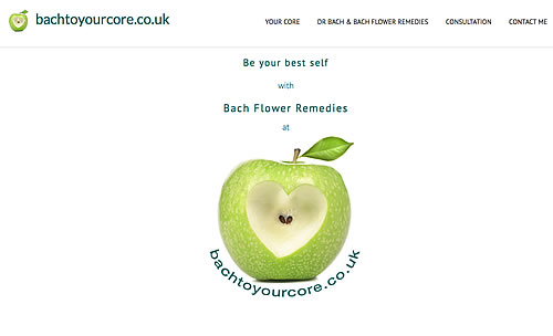 Website design Banbury - Registered Bach Remedies Practitioner Banbury